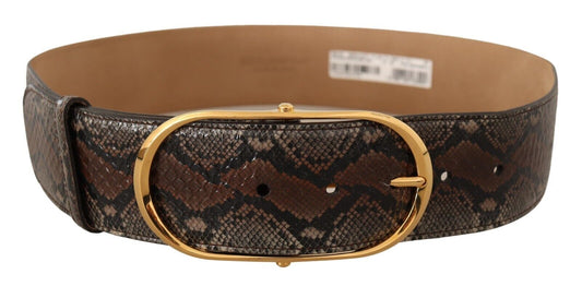 Dolce & Gabbana Elegant Brown Leather Belt with Gold Buckle - KALAJ