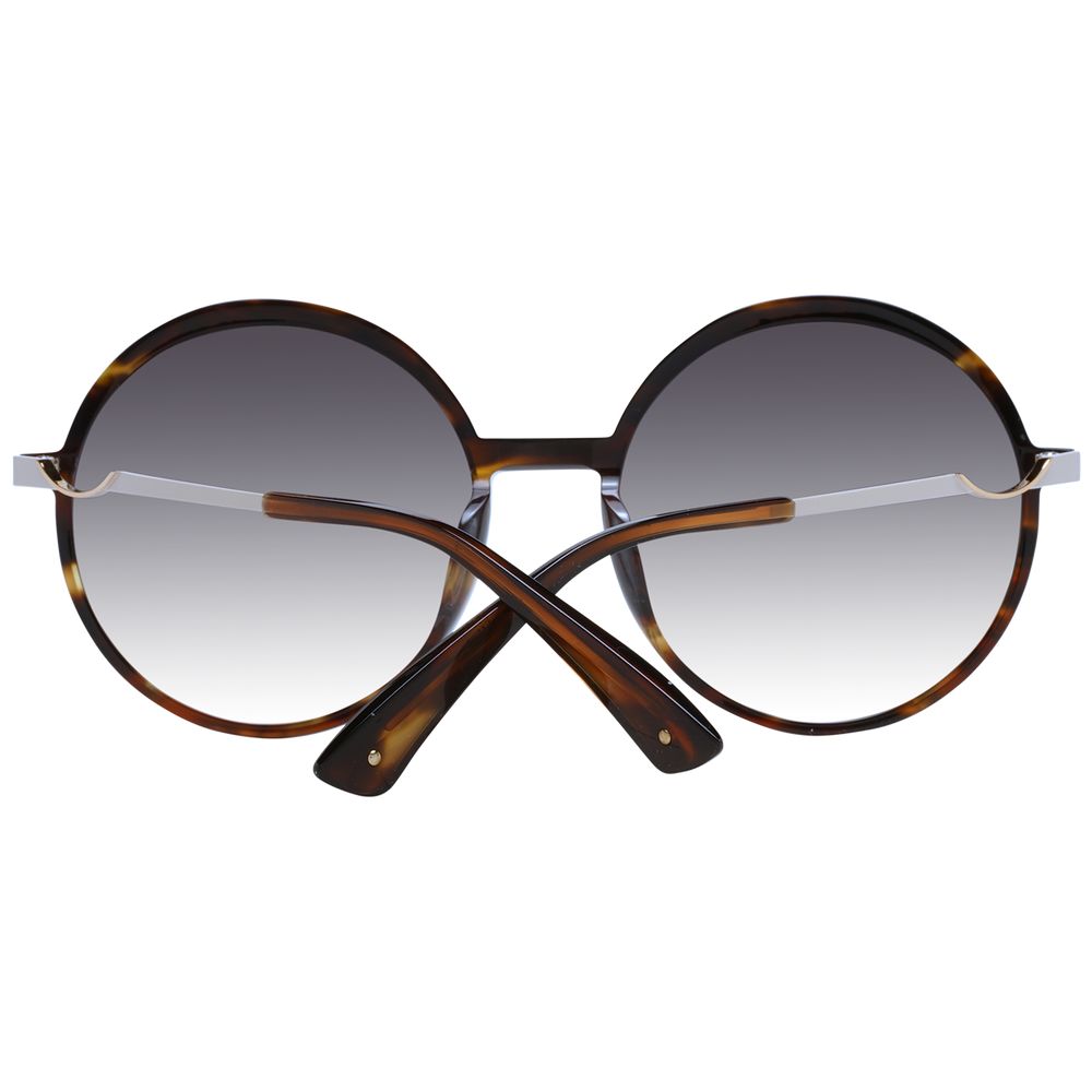 Ana Hickmann Brown Women Sunglasses