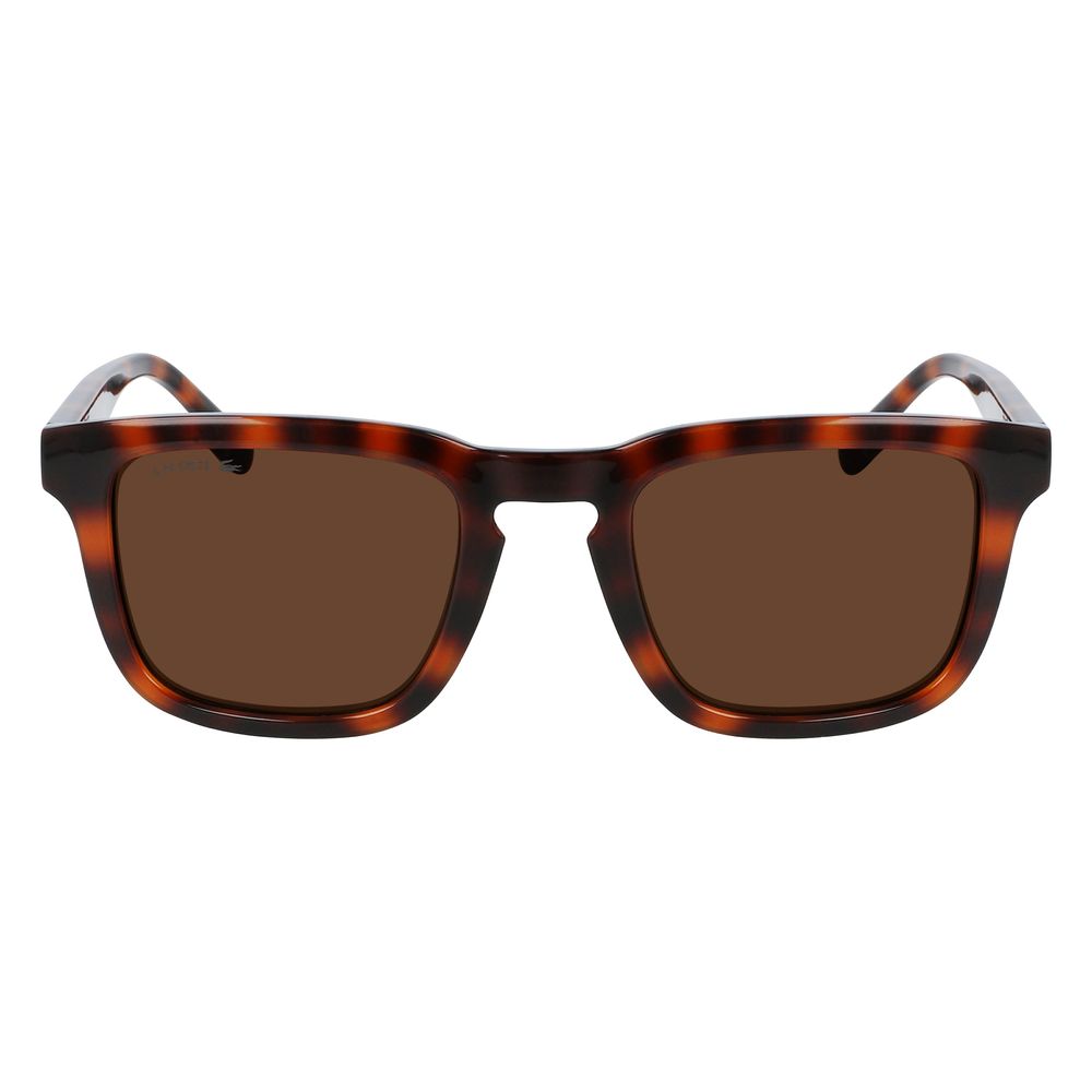 Lacoste Brown Injected Sunglasses