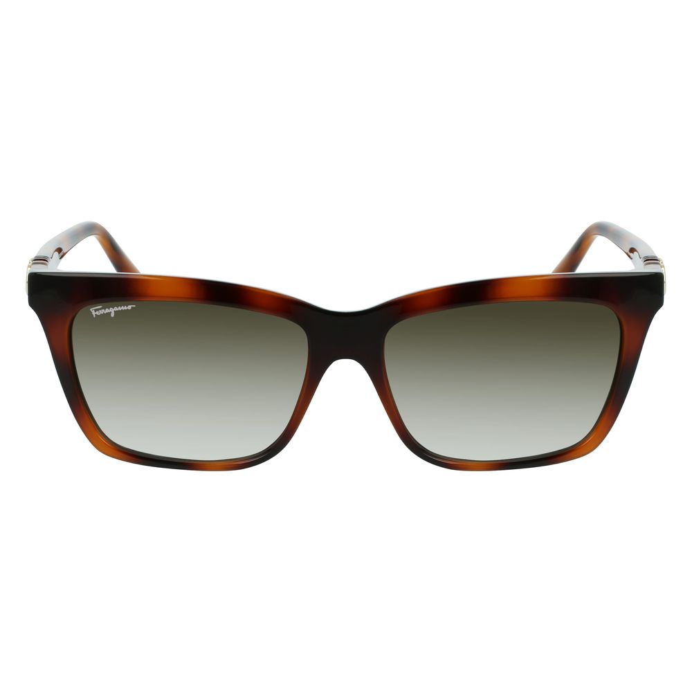 Ferragamo Brown Injected Sunglasses