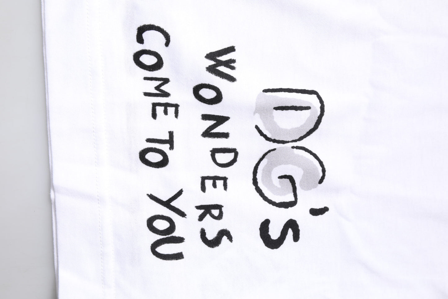 Dolce & Gabbana White Short-Sleeved Printed Jersey T-shirt