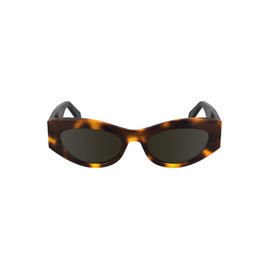 Calvin Klein Brown Acetate Sunglass